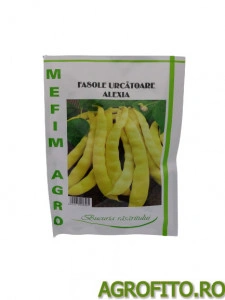 Fasole alexia 50 g