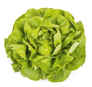 Salata Danubia F1 1000 sem drajat