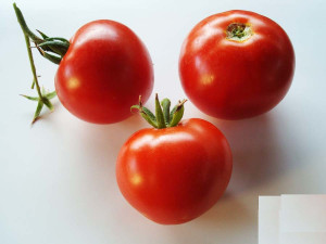 Tomate Kopnezh F1 0,2 g
