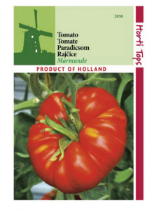 Tomate marmande 10 g