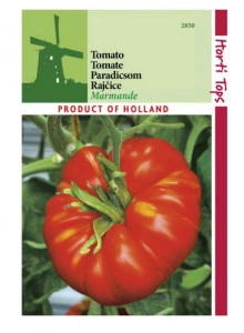 Tomate marmande 10 g