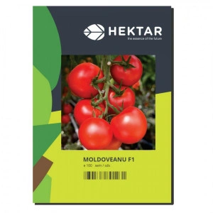 Tomate Moldoveanu F1 100 sem