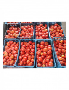 Tomate Pink Soul F1 500 sem redus - Img 2