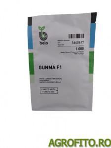 Varza Gunma F1 2500 sem