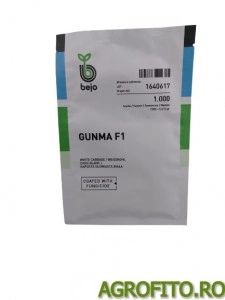 Varza Gunma F1 2500 sem