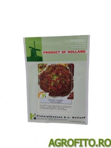 Salata lollo rossa 10 g