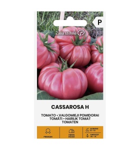 Tomate Cassarosa H 5 sem