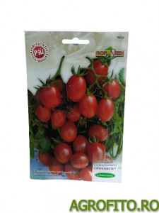 Tomate Crovarese 5 g - Img 2