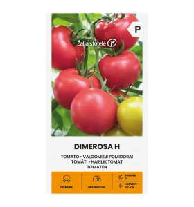 Tomate Dimerosa H 10 sem