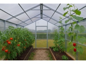 Sera Victoria Line 3x8m, otel galvanizat 40x20 mm si policarbonat 4 mm - Img 3