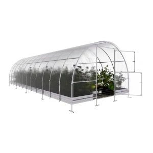 Sera policarbonat Klasika Easy 3x8m otel galvanizat 20x20mm si policarbonat 4mm