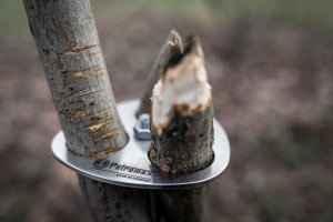 Inel pentru trepied cu lant 80 cm Petromax - Img 5