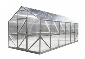 Sera Energon Premium 3x8m, otel galvanizat 40x40 mm si policarbonat 4 mm