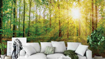 Find the perfect wall murals for living room
