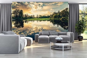 Calming image of lake and forest reflections - 12024 - Img 3