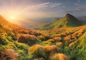 Captivating Mountain View Wall Mural - 14599 - Img 1