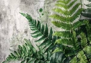 Fern Leaves Photo Wallpaper - 15365