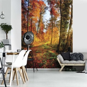 Forest path in the colored autumn wallpaper - 12108A - Img 2