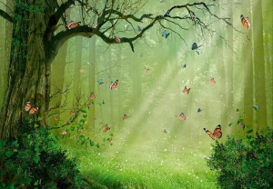Magic Forest wall mural - 14403