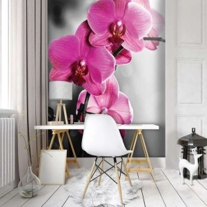 Pink orchids wallpaper - 10155A - Img 2