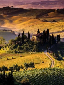 Countryside landscape photo wall mural - 169A
