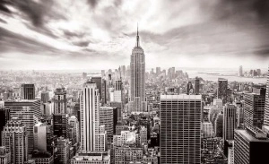 Black and white wall mural of New York city - 2318