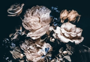 Flowers art wall mural - 13524