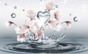 Heart shape water drop with flowers wall mural -10163 - Img 1