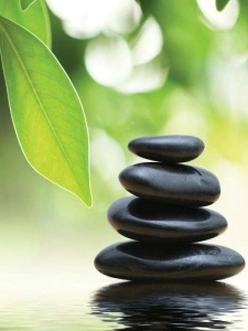 Zen stones, green leaves and water image - 174A