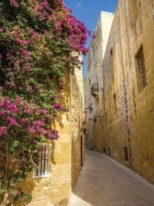 Mediterranean street wallpaper - 2129A