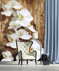 White orchids wall mural - 1017A - Img 2