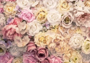 Charming roses wall mural - 13798