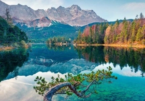 Landscape Autumn Pine Forest Lake and Rocks wall mural - 14197
