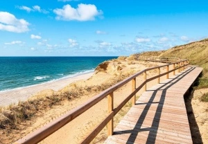 Landscape beach sea wooden path wall mural - 14108
