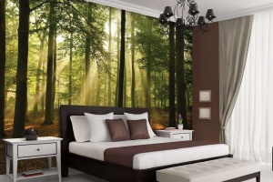 Sunbeams in the forest wall mural - 10331 - Img 4