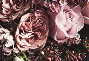 Nature flowers dusky pink floral wall mural - 14114