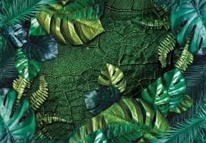 Nature leaves dark green monsteras wall mural - 14100