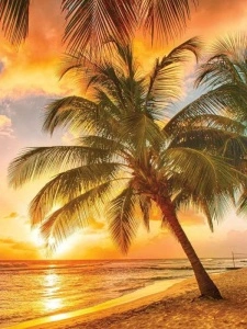 Sunset on a paradise tropical island wallpaper - 3393A