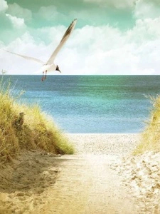 Beach sand dune wall mural - 11595A