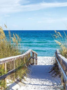 Beach walkway with blue sea in the background - 3462A - Img 1