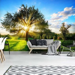 Tree in a summer garden wall mural - 13015 - Img 2