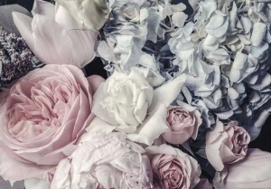 Wallpaper with peonies and rose - 12746