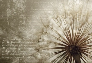Wall Mural - 11683