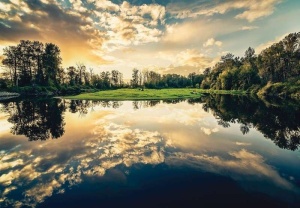 Calming image of lake and forest reflections - 12024 - Img 1