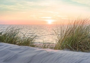 Idyll on the beach wall mural - 11851