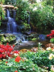 Zen garden waterfalls with blossoms - 166A - Img 1