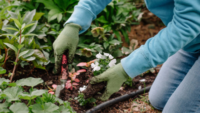 Ghid complet pentru grădinărit: Cum să îți transformi grădina într-un colț de rai