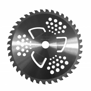 Disc vidia 40T 255X25.4 Calitatea B, Elefant - Img 1