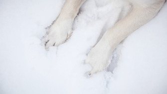 Lăbuțe sensibile? 5 soluții simple pentru sezonul rece