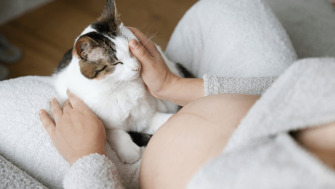 Cum să îți pregătești pisica pentru venirea unui bebeluș